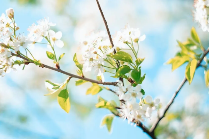 對于墻面裝修，你了解多少呢？