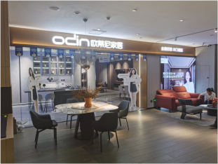 十大定制家具招商加盟